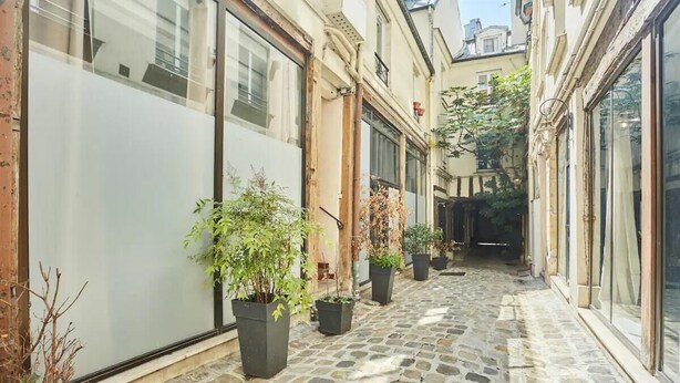 A narrow stone-paved alleyway with potted plants and large windows on either side. - 294 Suite Naza - Superb apartment in Paris (Paris 03 Temple)