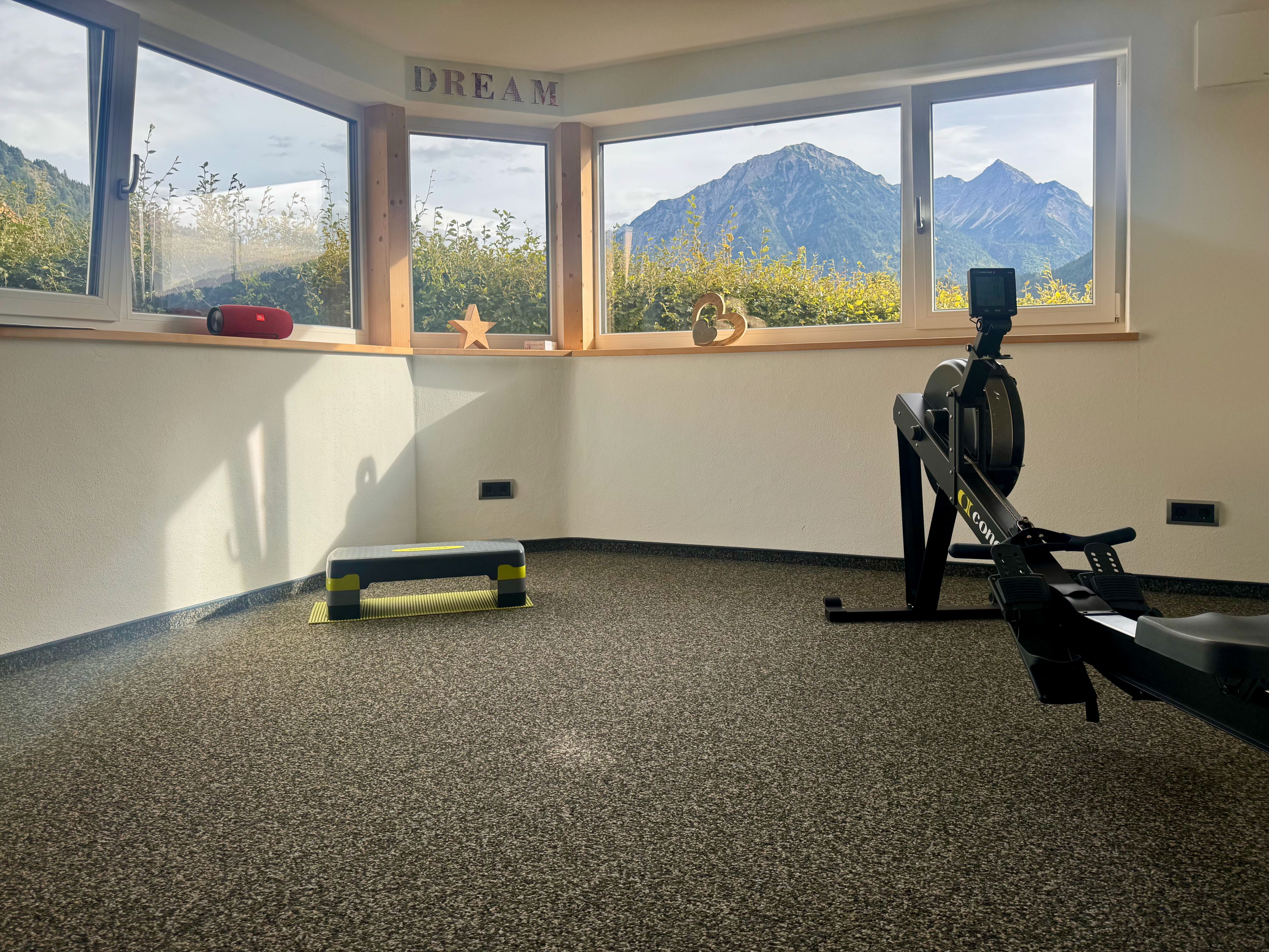 Ein Fitnessraum mit einem Fahrradergometer, einer Stehplattform und einem Fenster mit Blick auf die Berge.