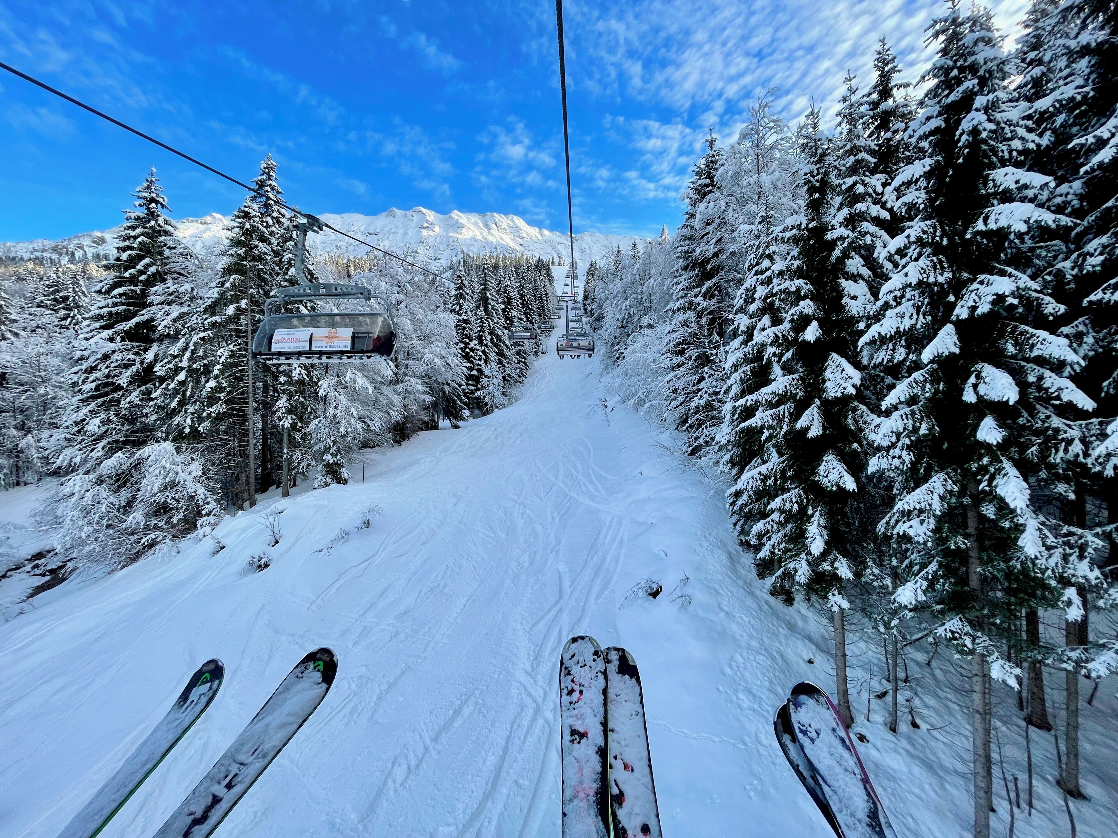 A snowy ski slope with trees and a clear sky.