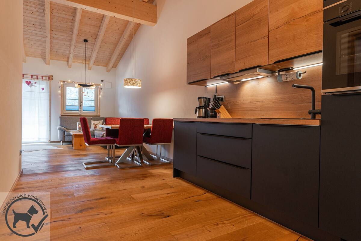 Apartamento Premium, 2 habitaciones, Se admiten mascotas (Rotspitz) | Cocina privada | Frigorífico grande, horno, placa de cocina y lavavajillas
