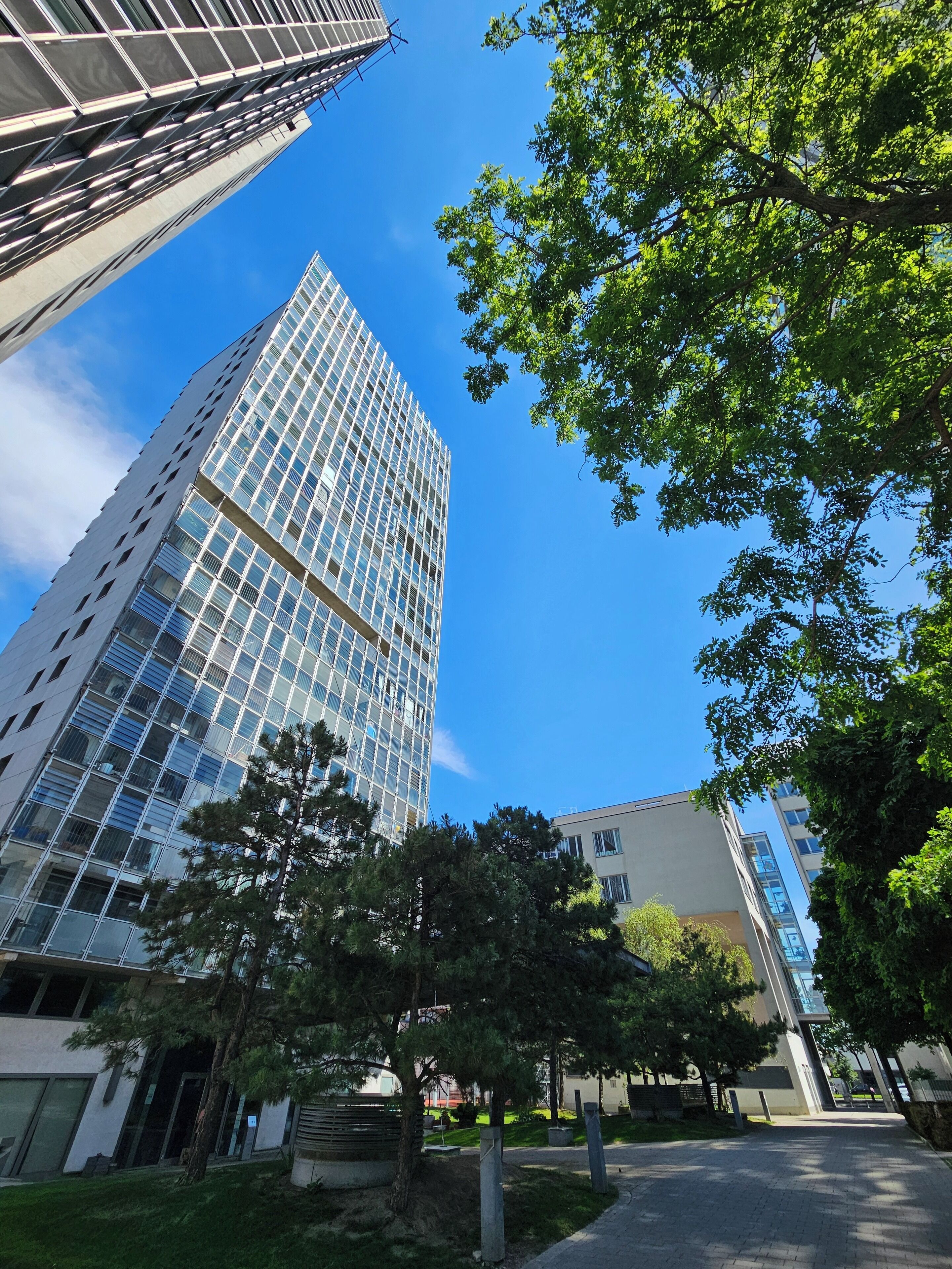 A modern building with a glass facade, surrounded by trees and a clear blue sky.