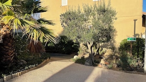 A gravel driveway leading to a building with a yellow facade, surrounded by various plants and a palm tree.