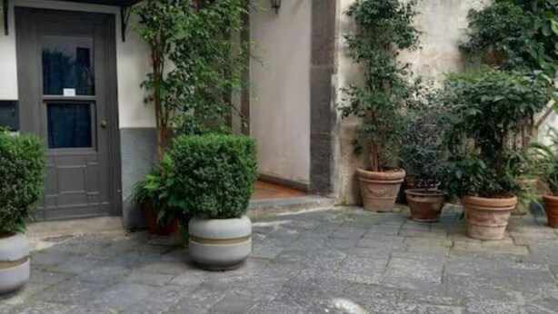 A courtyard with a stone floor, potted plants, and a building entrance.