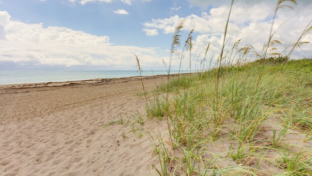 Ein sandiger Strand mit Gras im Vordergrund und einem klaren Himmel.
