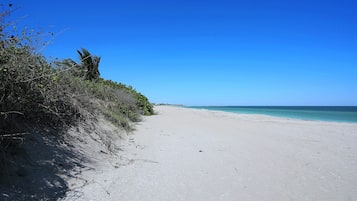 A beach with clear skies, a sandy shore, and sparse vegetation.