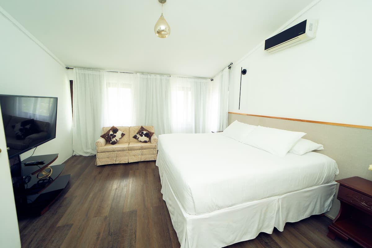 Una habitación de hotel con una cama, televisión, sofá y una lámpara en el techo.