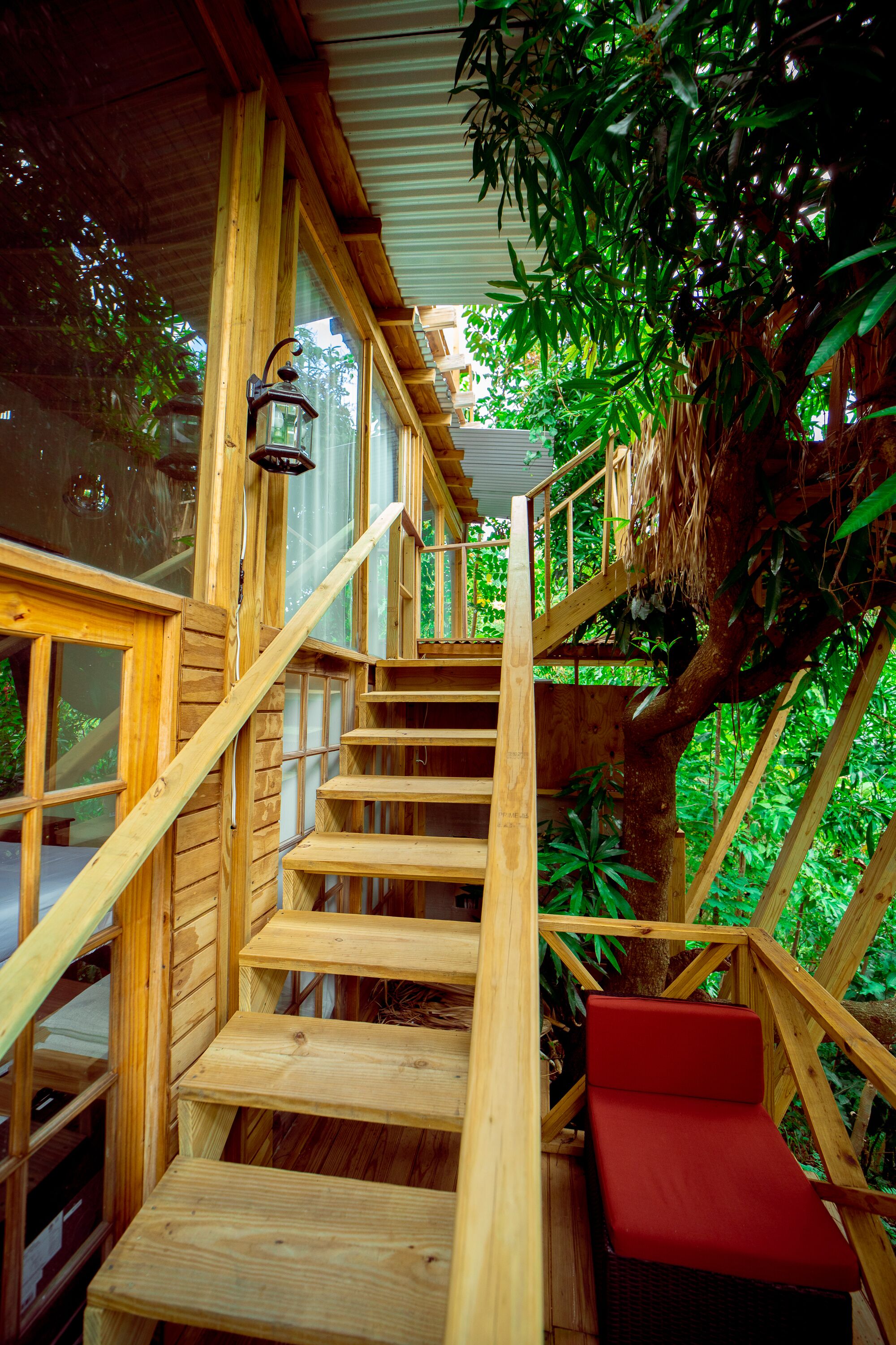 Uma escadaria de madeira com um banco vermelho na base, rodeada por vegetação exuberante.
