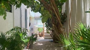 A narrow pathway flanked by lush greenery and a white building. - Hotel downtown private room with pool. (Cancún)