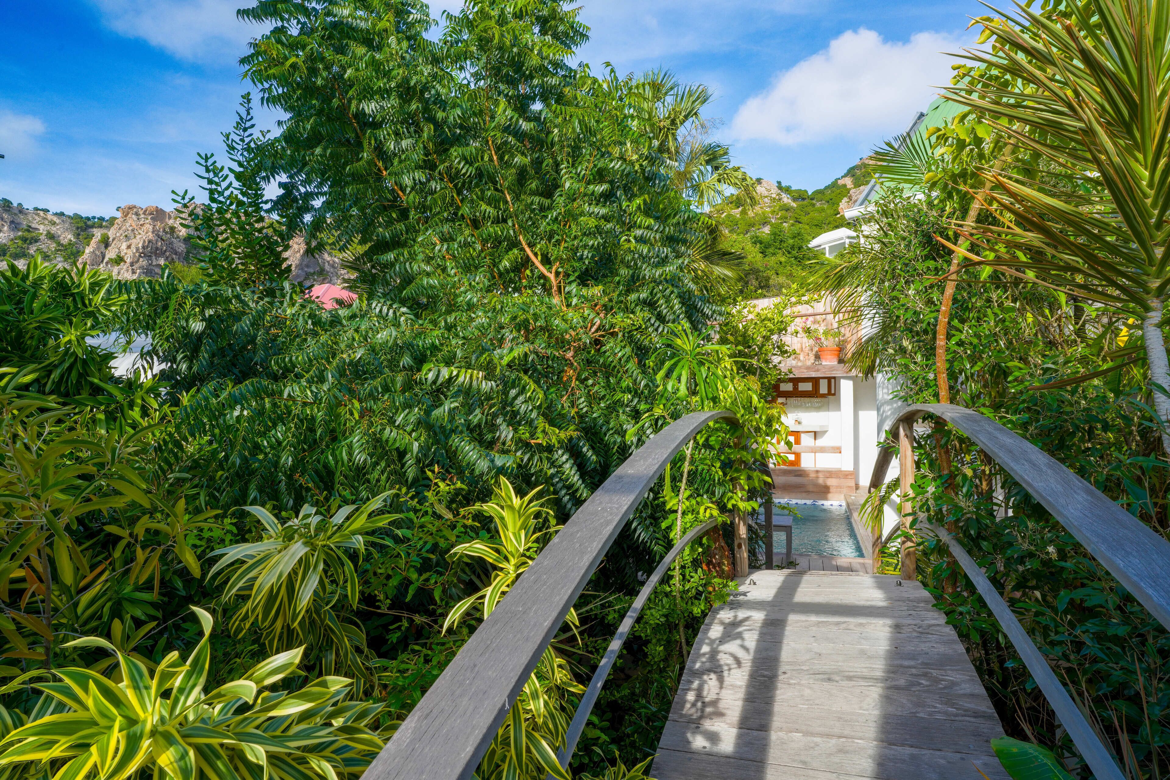 A wooden pathway leading through dense greenery towards a building with a white facade.