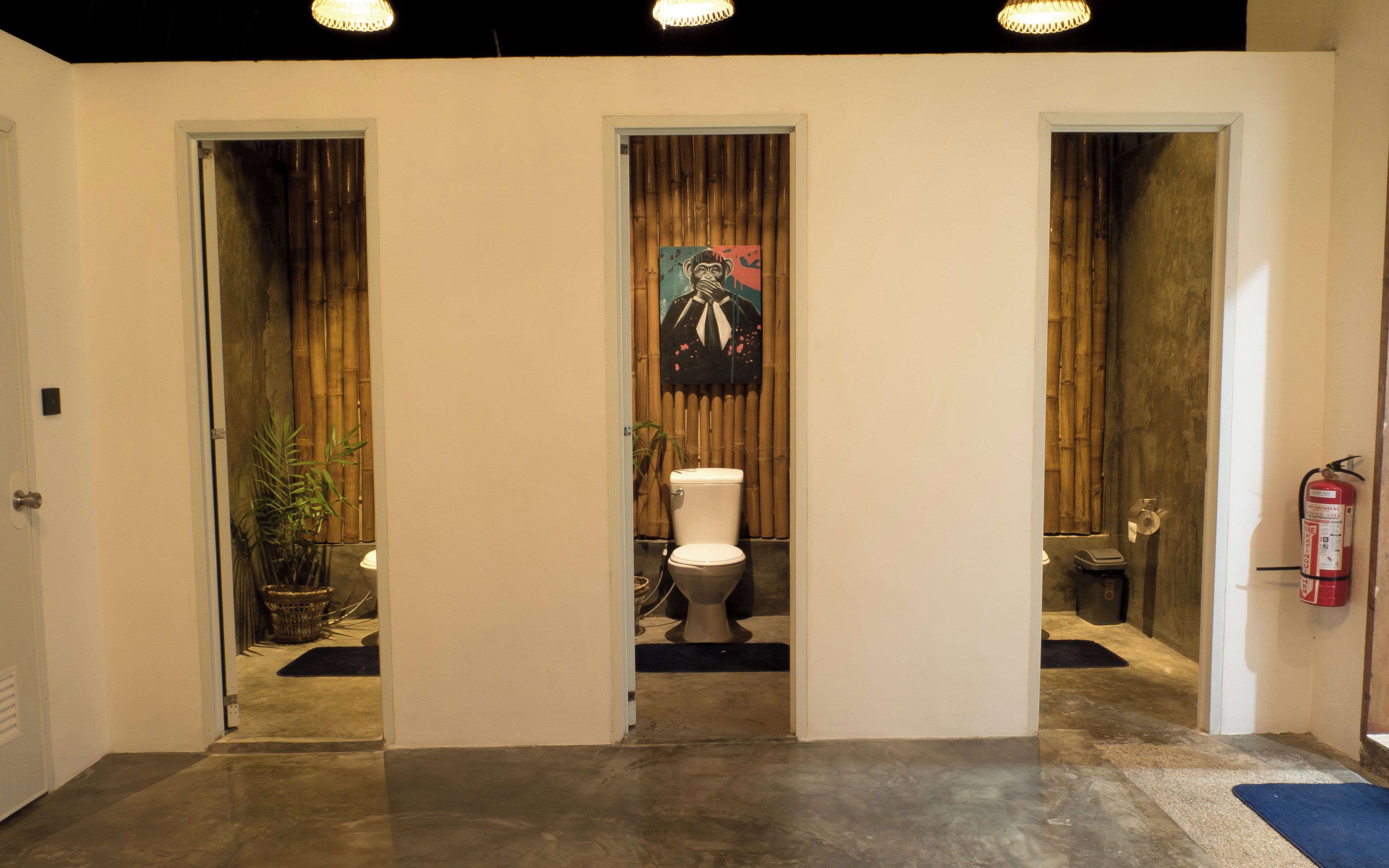 A hallway with three doors leading to separate rooms, each with a toilet and a small plant.