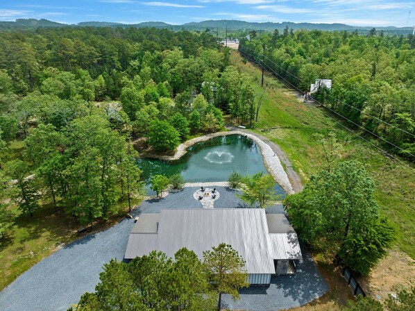 A house with a pond, surrounded by dense forest and a clear sky.