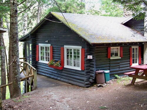 Rustic, split-level log cottage, River-view, Pet-friendly, Downeast Maine