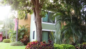 Um edifício com fachada verde, rodeado por vegetação tropical exuberante, incluindo palmeiras e arbustos diversos.