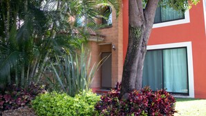 Um edifício com fachada vermelha, uma grande árvore em frente e diversas plantas verdes ao redor.
