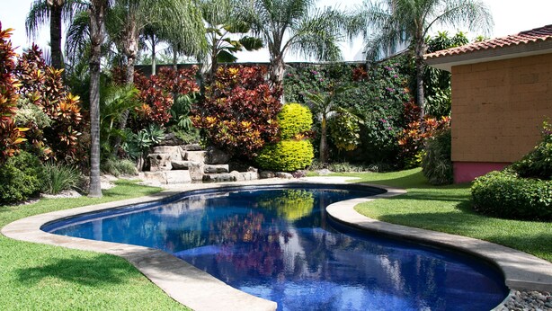 Piscina rodeada por gramado bem cuidado e diversas plantas tropicais.