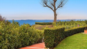 Un sentier mène à un point de vue pittoresque sur une étendue d’eau, bordé de haies bien entretenues et d’un grand arbre.