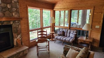 Smart TV, fireplace, books