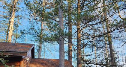 New Listing!  Au Sable Riverfront Getaway!  3 Bedroom.