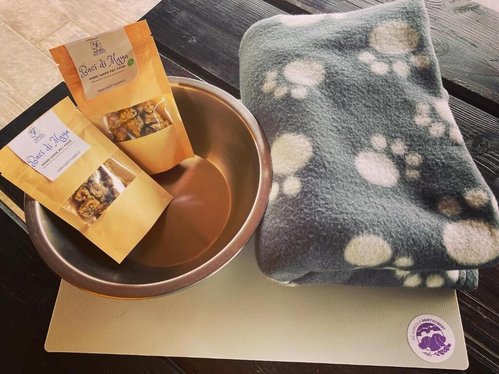 A bowl with two packets of Baci di Nocera, a grey blanket with paw prints, and a mat with a Saint Hubert's logo.
