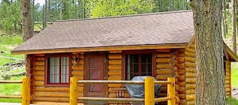 Historic Cabin next to Custer State Park, Private