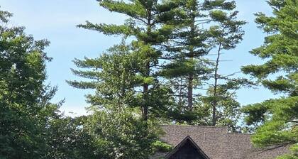 Storybook Pines — A Lakefront Family Reunion Retreat