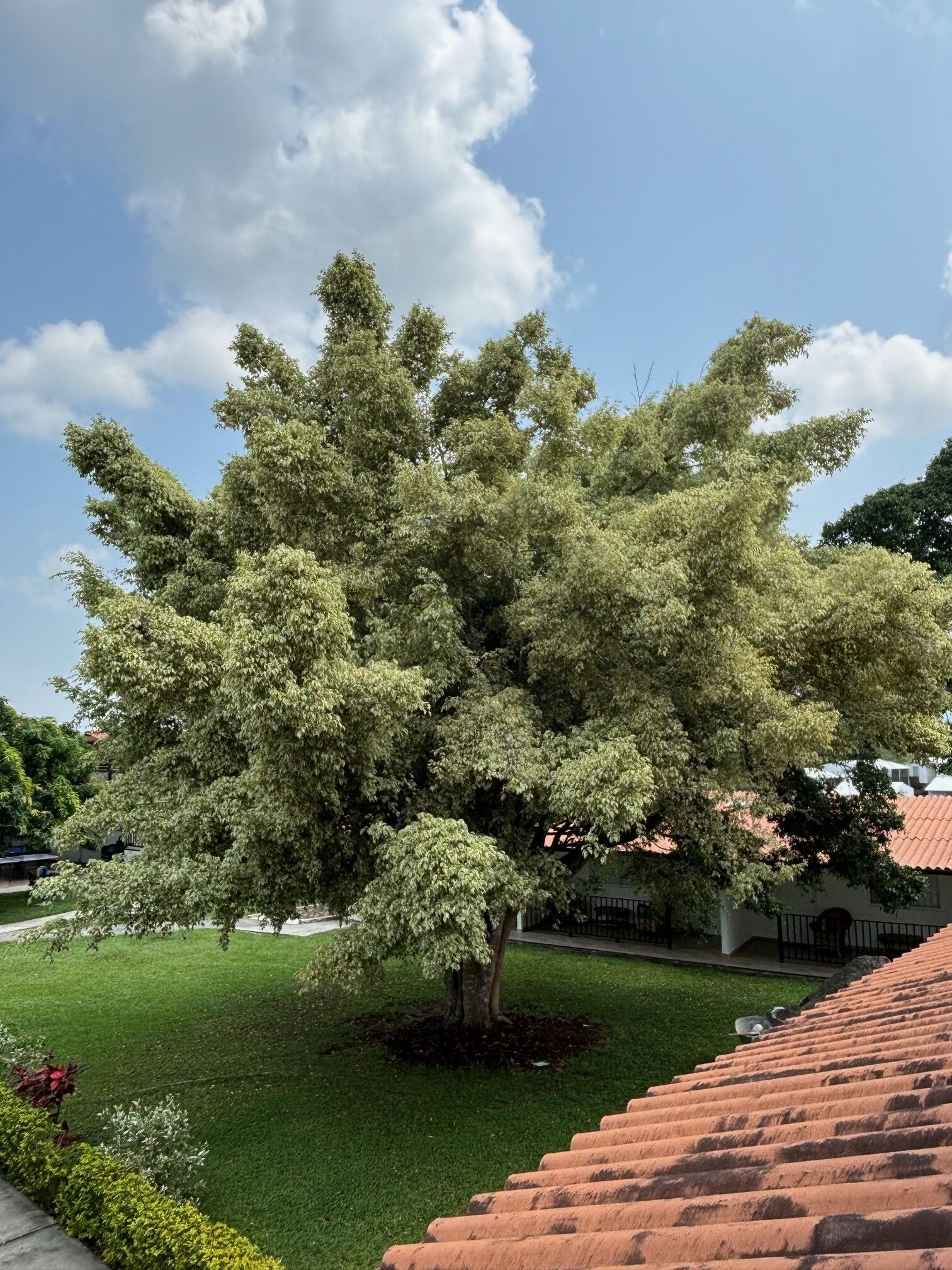 Photo - Hotel Campestre Cerritos Plaza