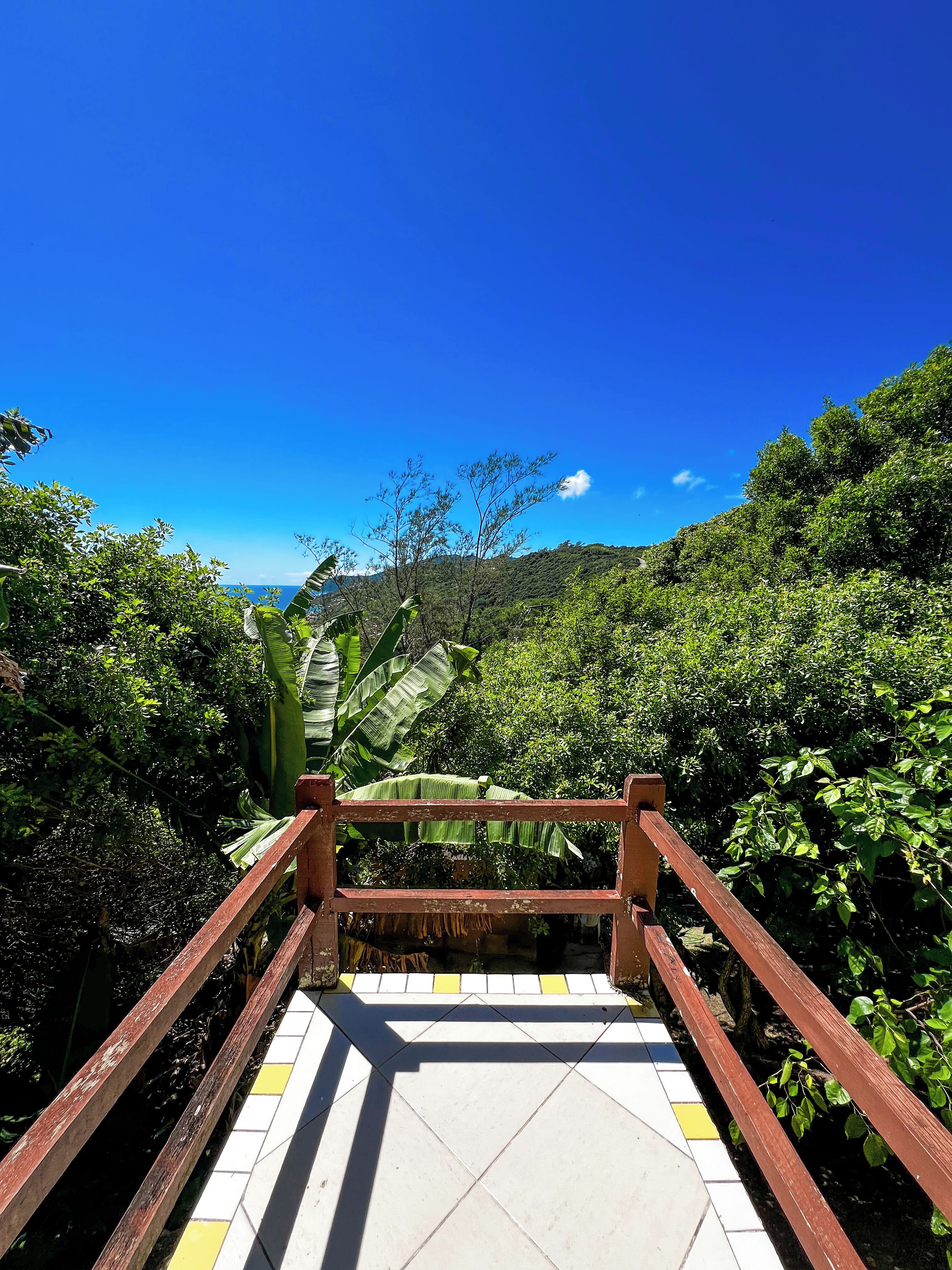 Una escalera conduce a un mirador con vistas despejadas al océano y abundante vegetación.