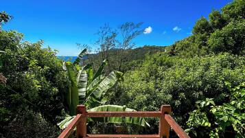 Una escalera conduce a un mirador con vistas despejadas al océano y abundante vegetación.