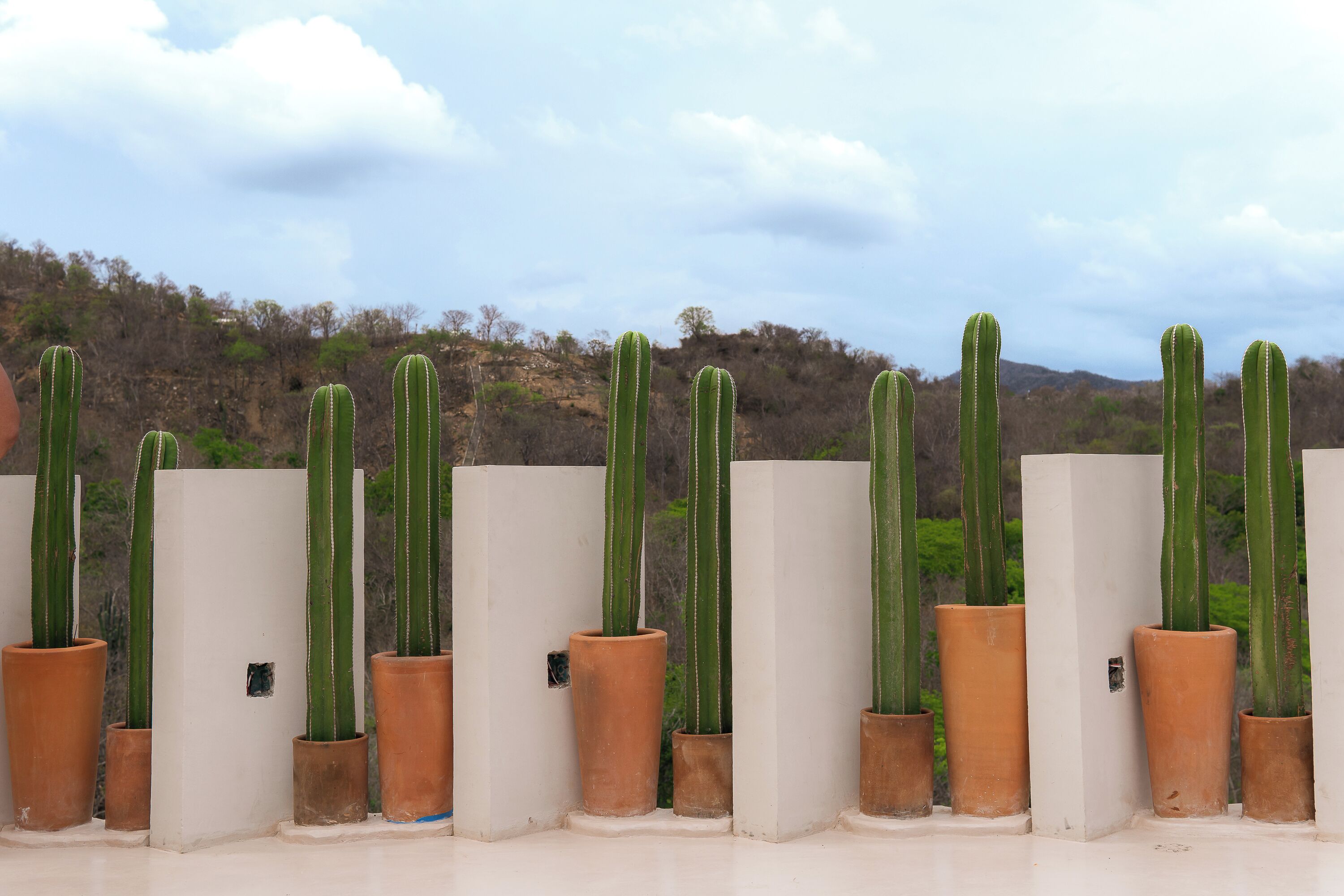 Terassi/patio