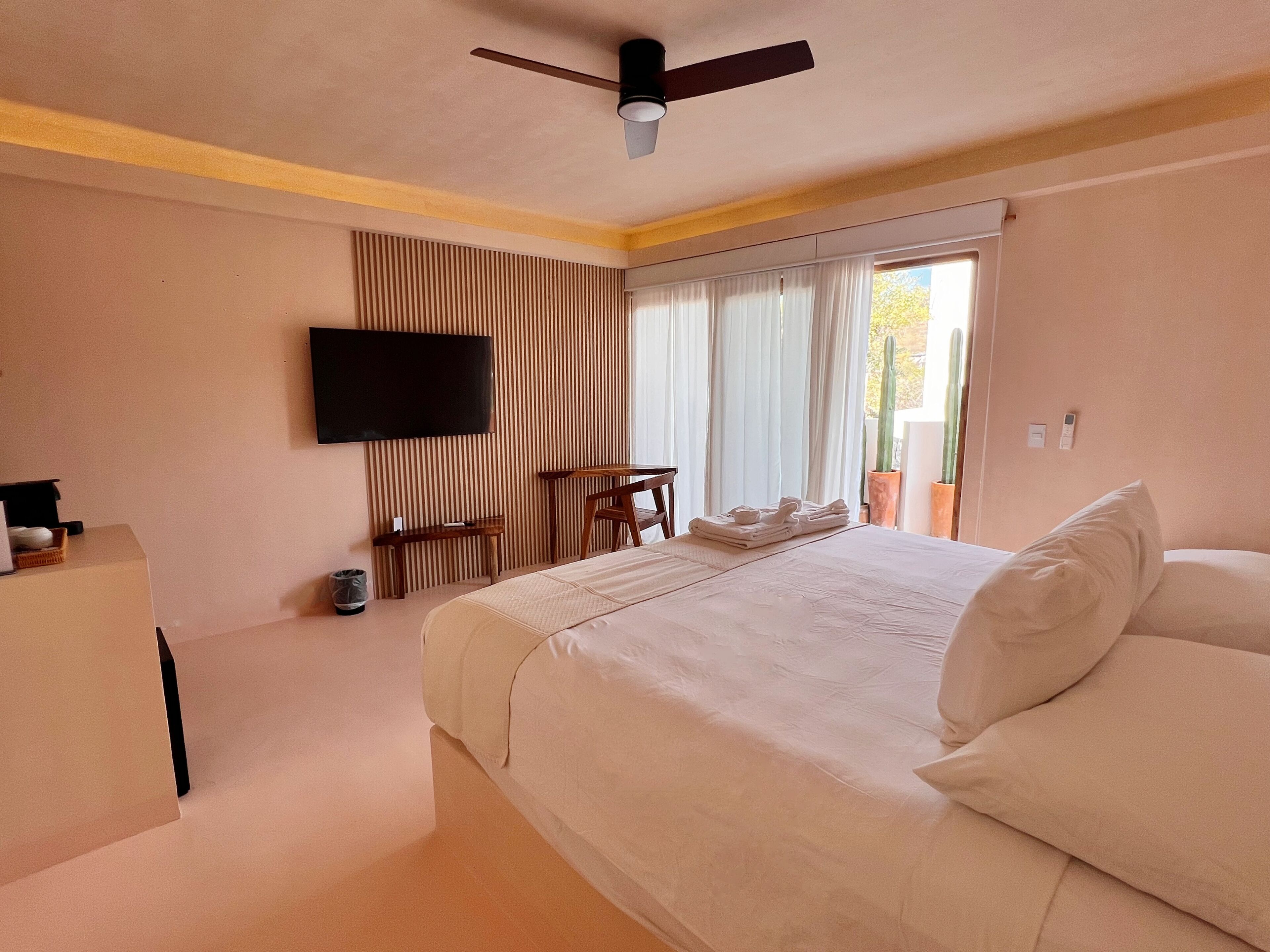 Standard Room, Mountain View