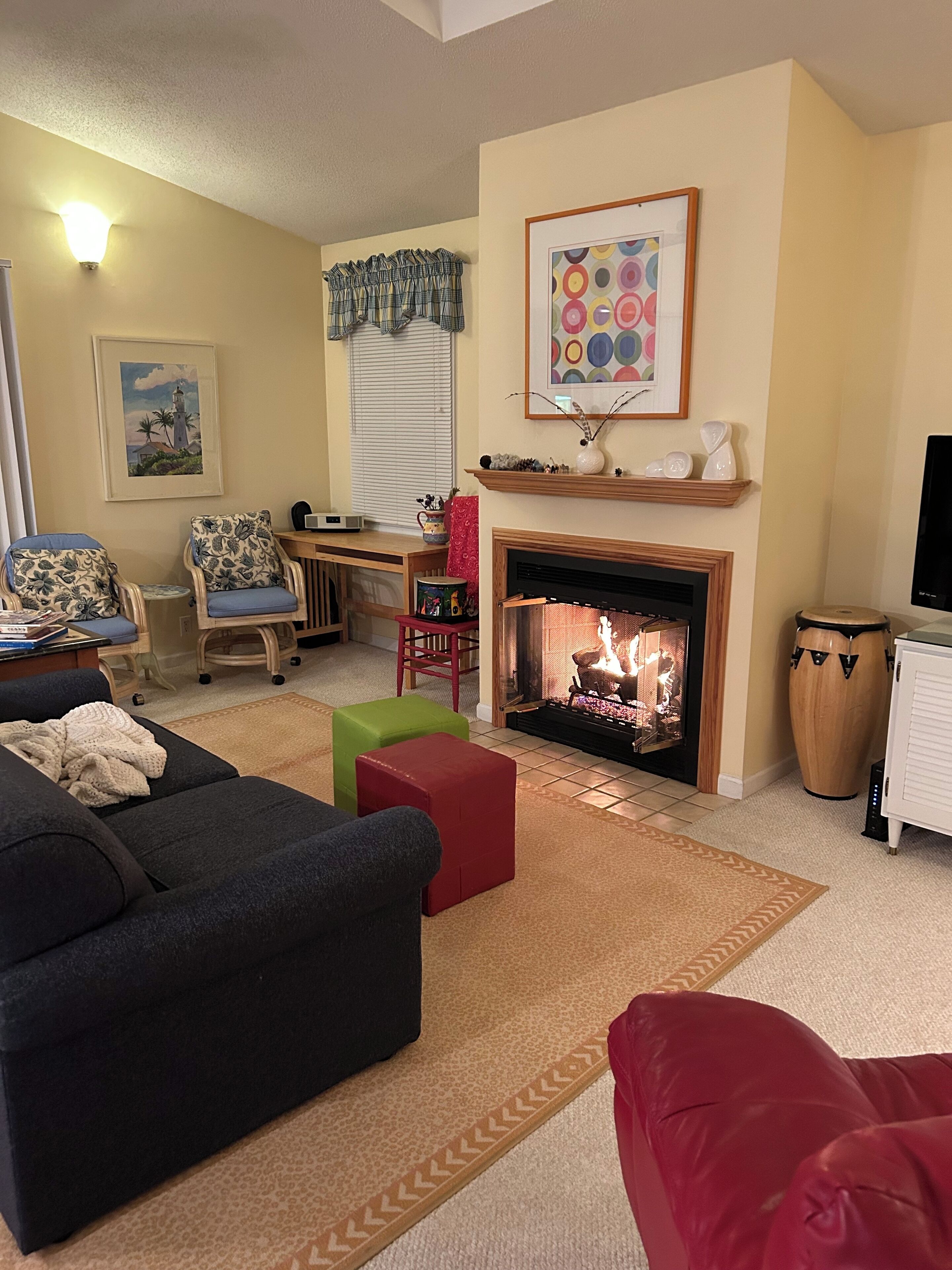 TV, fireplace, books