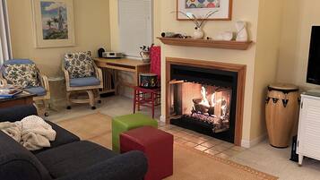 TV, fireplace, books