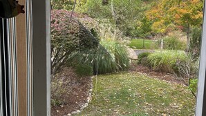 A view through a window of a garden with various plants and trees, a lawn, and a stone pathway. - Charming 3-bedroom cottage in enjoyable Douglas with WiFi, AC (Douglas)