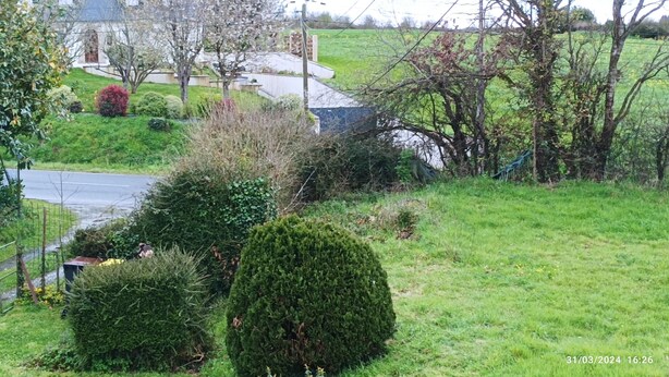 Ett lantligt landskap med en väg, grönska och en byggnad i bakgrunden.