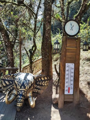 Detalle del exterior