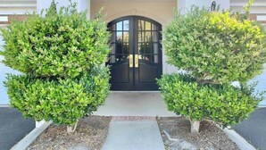 A building entrance with a black double door, surrounded by two symmetrical, well-maintained bushes.