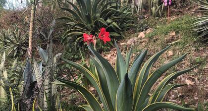 Tiny studio- 8 M2 - Boquete- cocina- Baño privado- Wifi- ideal larga estancia.