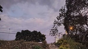 Un sendero de piedra que asciende con un muro de piedra a un lado y vegetación al otro.