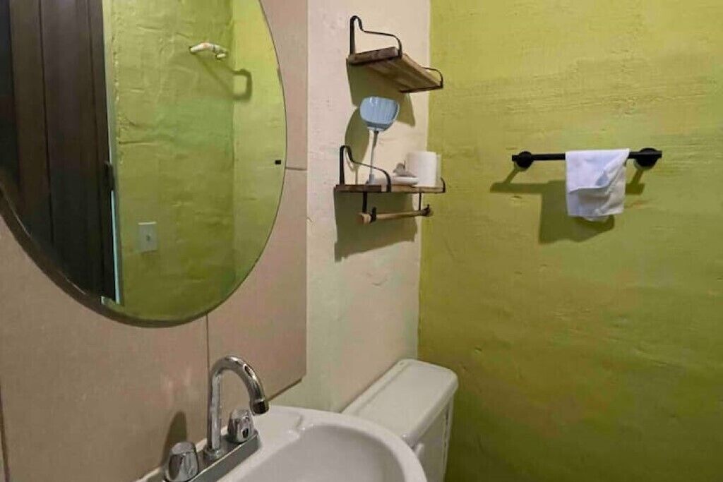 Shower, towels, soap, toilet paper