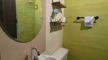 Shower, towels, soap, toilet paper