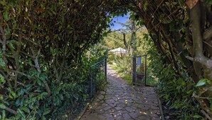 A stone pathway flanked by lush greenery and a metal gate, leading to a building. - Chianti Villa Chicco, private swimming pool with large garden, bbq, car parking (Province of Florence)