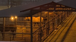 Ein Sonnenuntergang über einer ländlichen Gegend mit einem eingezäunten Tiergehege und Gebäuden im Hintergrund.