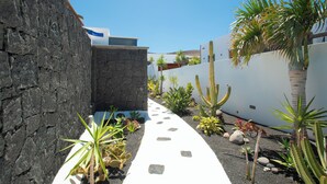 Un sendero estrecho bordeado de plantas variadas y una pared blanca a un lado.