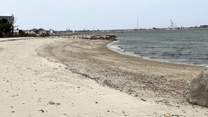 A sandy beach with scattered pebbles and a calm sea. - Quaint 1 Bed 1 bath private beach home. Long term renter welcome Dec 1 (Dartmouth)