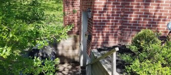 A little piece of Home, Cornell/IC 1 Brm Apt
