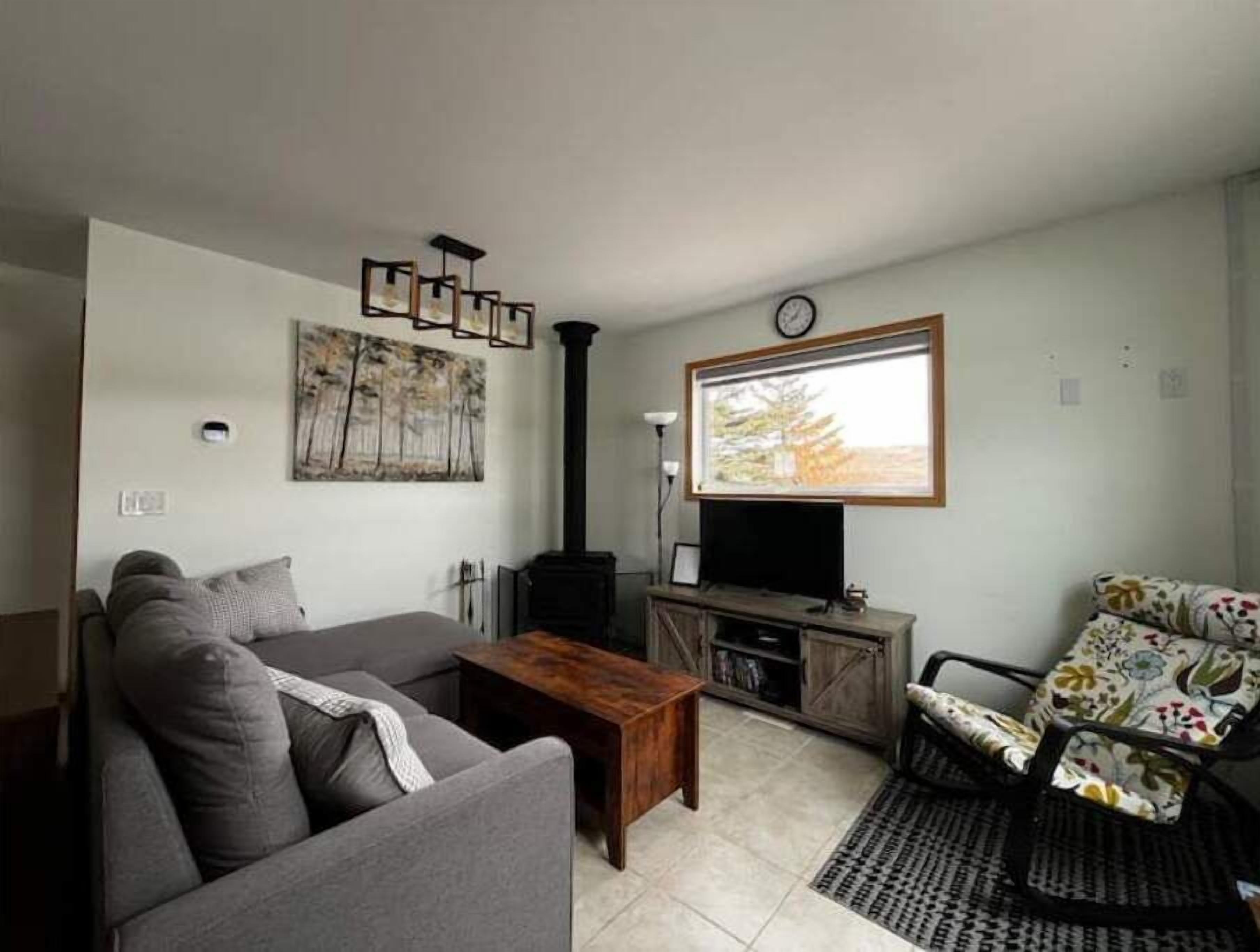 Smart TV, fireplace, DVD player, books