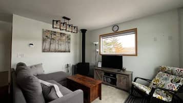 TV connectée, cheminée, lecteur de DVD, livres