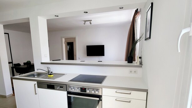 A modern kitchen with a built-in oven, a dishwasher, and a sink.