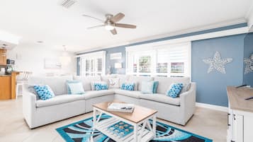 TV connectée, cheminée, livres