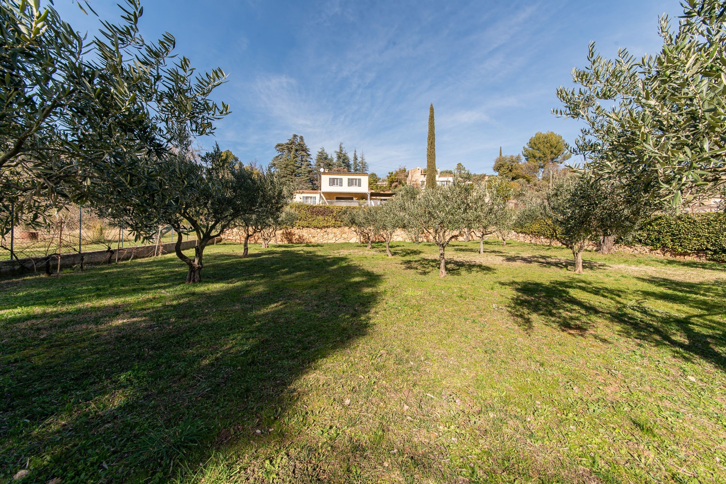 A grassy area with trees and a building in the background.